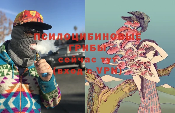mix Аркадак