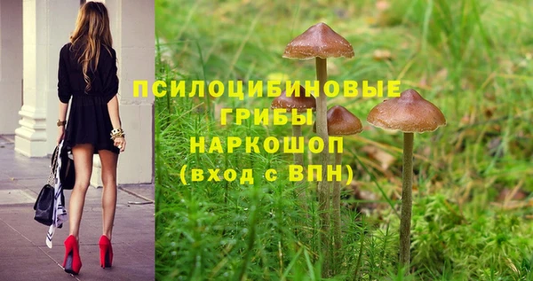 прущие крисы Армянск