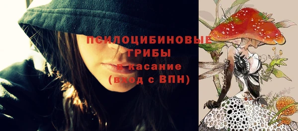 прущие крисы Армянск