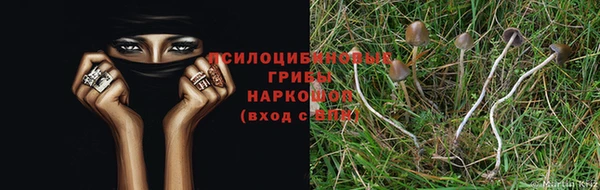 Альфа ПВП Арсеньев