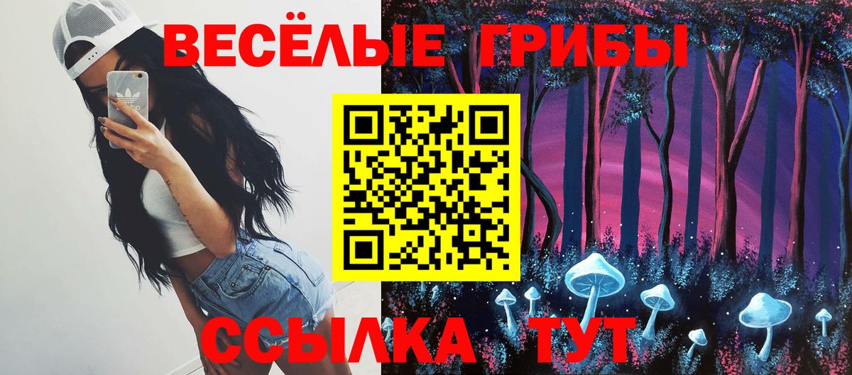 Псилоцибиновые грибы Cubensis Георгиевск