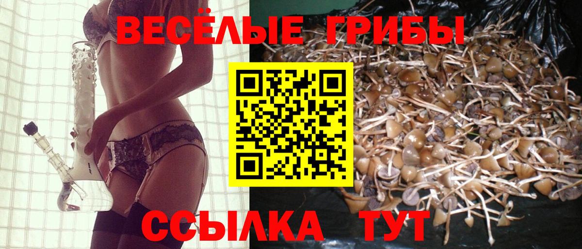 Георгиевск  Псилоцибиновые грибы ЛСД  Вход с VPN 